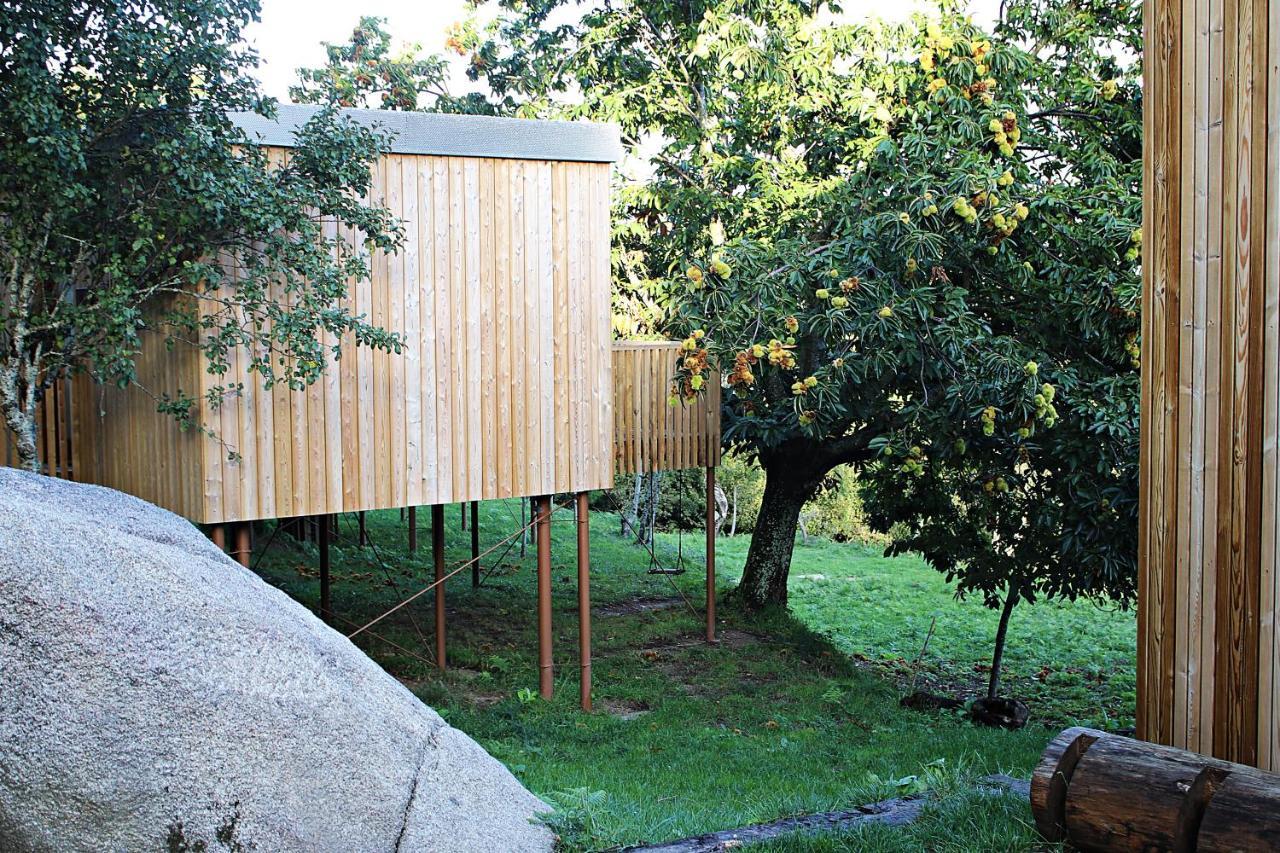 Aloia Nature, Alojamiento Forestal Tui Exterior photo