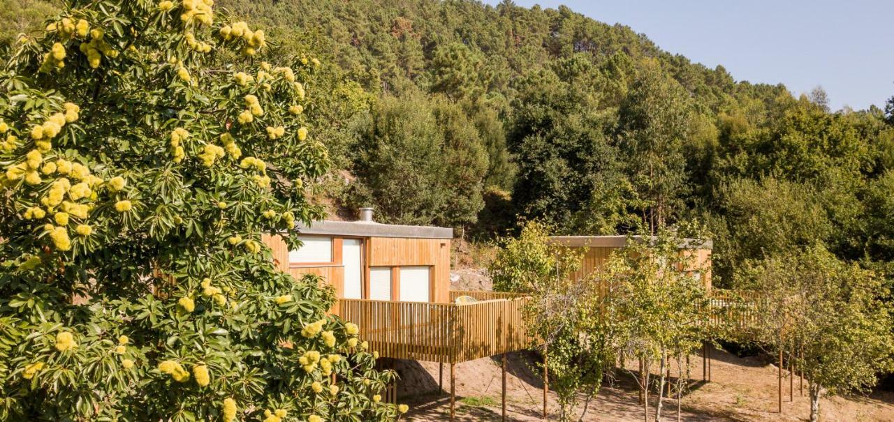 Aloia Nature, Alojamiento Forestal Tui Exterior photo